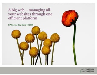 A big web – managing all
your websites through one
efficient platform
EPiServer Day Mars 10 2009
 