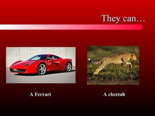 They can…
A Ferrari
A cheetah