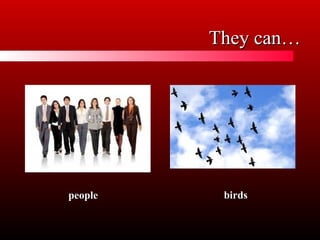 They can…
people
birds