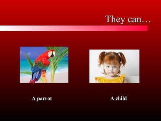 They can…
A parrot
A child