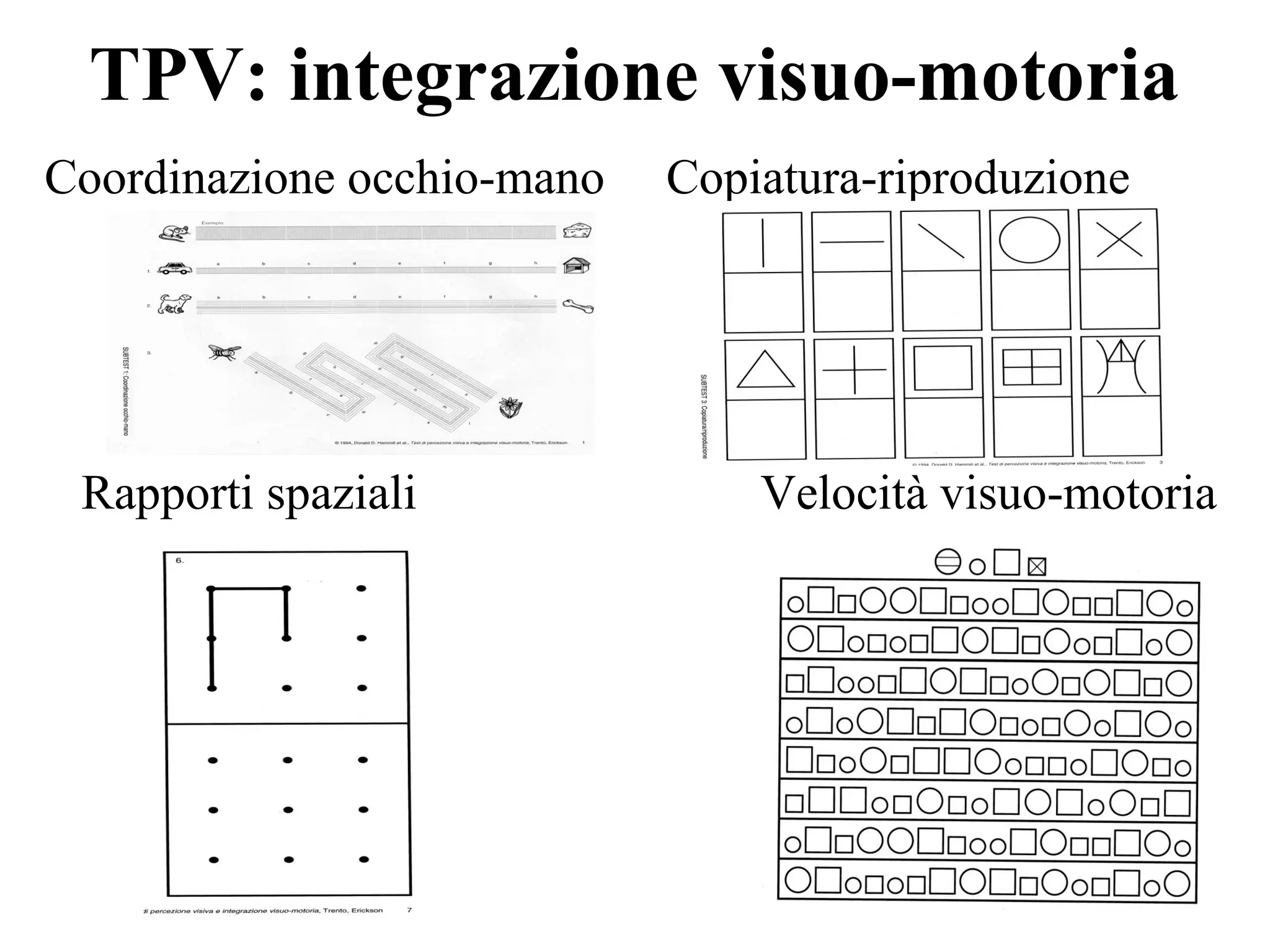 Abilitã visuo spaziali | PPT