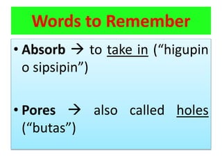 Word Absorb Ability of Materials to Absorb Water.pptx