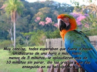 Muy conciso, todos esperaban que fuera a hacerMuy conciso, todos esperaban que fuera a hacer
un discurso de una hora o más, hablóun discurso de una hora o más, habló
menos de 5 minutos, le aplaudieron más demenos de 5 minutos, le aplaudieron más de
10 minutos sin parar, dio las gracias y se fue10 minutos sin parar, dio las gracias y se fue
enseguida en su helicóptero.enseguida en su helicóptero.
 
