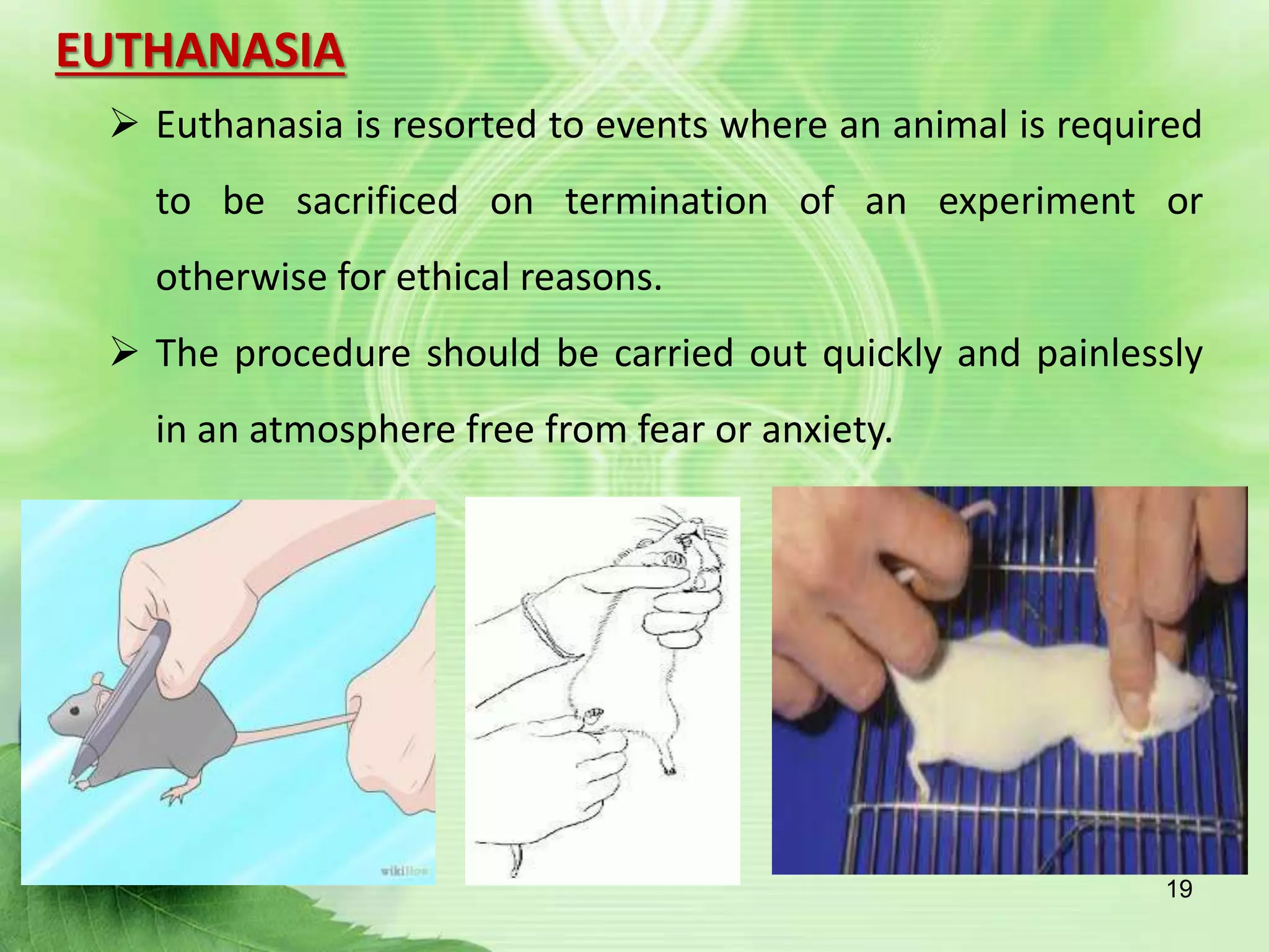 EUTHANASIA
 Euthanasia is resorted to events where an animal is required
to be sacrificed on termination of an experiment or
otherwise for ethical reasons.
 The procedure should be carried out quickly and painlessly
in an atmosphere free from fear or anxiety.
19
 