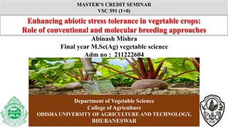 MASTER’S CREDIT SEMINAR
VSC 591 (1+0)
Abinash Mishra
Final year M.Sc(Ag) vegetable science
Adm no : 211222604
Department of Vegetable Science
College of Agriculture
ODISHA UNIVERSITY OF AGRICULTURE AND TECHNOLOGY,
BHUBANESWAR 1
Enhancing abiotic stress tolerance in vegetable crops:
Role of conventional and molecular breeding approaches
 