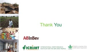 ABInBev-ICRISAT Watershed Project: Improving Agricultural Productivity and Livelihoods Through Holistic and Sustainable Resource Management