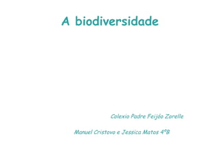 A biodiversidade
Colexio Padre Feijóo Zorelle
Manuel Cristovo e Jessica Matos 4ºB
 