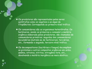 Os produtores são representados pelos seres autótrofos como os vegetais e as algas do fitoplâncton. Corresponde ao primeiro nível trófico.Os consumidores são os organismos heterótrofos. Os herbívoros, sendo os primeiros a consumir a matéria orgânica elaborada pelos produtores, são chamados de consumidores primários; seguidos dos consumidores secundários (nutrem-se de herbívoros), terciários, etc., formando o segundo, terceiro nível trófico.Os decompositores (bactérias e fungos) decompõem as proteínas e outros compostos orgânicos em uréia, amônia, nitratos, nitritos, nitrogênio livre, etc., devolvendo a matéria inorgânica ao meio abiótico.