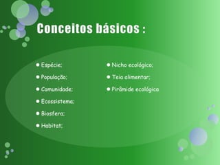 Conceitos básicos :Espécie;População;Comunidade;Ecossistema;Biosfera;Habitat;Nicho ecológico;Teia alimentar;Pirâmide ecológica