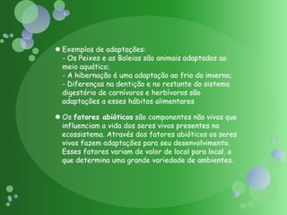 Exemplos de adaptações:- Os Peixes e as Baleias são animais adaptados ao meio aquático;- A hibernação é uma adaptação ao frio do inverno;- Diferenças na dentição e no restante do sistema digestório de carnívoros e herbívoros são adaptações a esses hábitos alimentaresOs fatores abióticos são componentes não vivos que influenciam a vida dos seres vivos presentes no ecossistema. Através dos fatores abióticos os seres vivos fazem adaptações para seu desenvolvimento. Esses fatores variam de valor de local para local, o que determina uma grande variedade de ambientes.