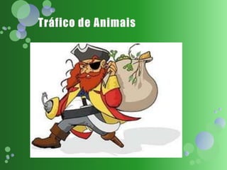 Tráfico de Animais