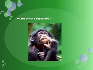 Como evitar a biopirataria ?