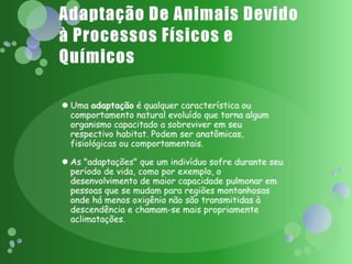 Adaptação De Animais Devido à Processos Físicos e QuímicosUma adaptação é qualquer característica ou comportamento natural evoluído que torna algum organismo capacitado a sobreviver em seu respectivo habitat. Podem ser anatômicas, fisiológicas ou comportamentais.As "adaptações" que um indivíduo sofre durante seu período de vida, como por exemplo, o desenvolvimento de maior capacidade pulmonar em pessoas que se mudam para regiões montanhosas onde há menos oxigênio não são transmitidas à descendência e chamam-se mais propriamente aclimatações.