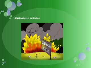 Queimadas e incêndios 