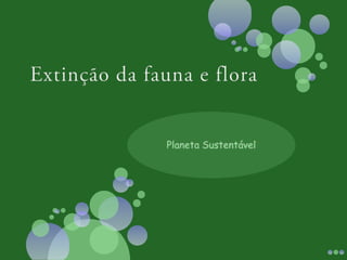 Extinção da fauna e flora  Planeta Sustentável 