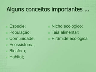 Alguns conceitos importantes ...Espécie;População;Comunidade;Ecossistema;Biosfera;Habitat;Nicho ecológico;Teia alimentar;Pirâmide ecológica