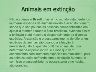 Animais em extinçãoNão é apenas o Brasil, mas sim o mundo está perdendo inúmeras espécies de animais devido à ação do homem, sendo que são poucas as pessoas conscientizadas em ajudar a manter a fauna e flora brasileira, evitando assim a extinção e até mesmo o desparecimento de diversas espécies. A extinção e o desaparecimento de diferentes espécies de animas são quando a situação é irreversível, isto é, quando o último animal de uma determinada espécie morre, e é isso que vem acontecendo com inúmeras espécies na atualidade, pois os animais estão sofrendo com a evolução humana, e com isso o desequilíbrio no ecossistema e no habitat são grandes.