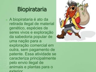 BiopiratariaA biopirataria é ato da retirada ilegal de material genético, espécies de seres vivos e exploração da sabedoria popular de uma nação para a exploração comercial em outra, sem pagamento de patente. Essa atividade se caracteriza principalmente pelo envio ilegal de animais e plantas para o exterior. 