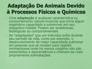 Adaptação De Animais Devido à Processos Físicos e QuímicosUma adaptação é qualquer característica ou comportamento natural evoluído que torna algum organismo capacitado a sobreviver em seu respectivo habitat. Podem ser anatômicas, fisiológicas ou comportamentais.As "adaptações" que um indivíduo sofre durante seu período de vida, como por exemplo, o desenvolvimento de maior capacidade pulmonar em pessoas que se mudam para regiões montanhosas onde há menos oxigênio não são transmitidas à descendência e chamam-se mais propriamente aclimatações.