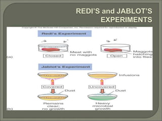 REDI’S and JABLOT’S
EXPERIMENTS
 