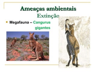 Ameaças ambientais
                  Extinção
   Megafauna – Cangurus
                 gigantes
 