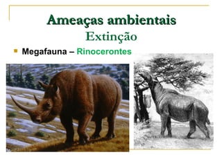 Ameaças ambientais
                 Extinção
   Megafauna – Rinocerontes
 