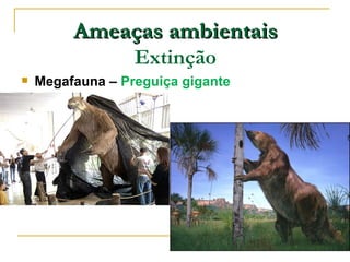 Ameaças ambientais
                  Extinção
   Megafauna – Preguiça gigante
 
