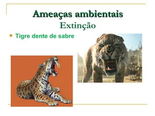 Ameaças ambientais
                   Extinção
   Tigre dente de sabre
 