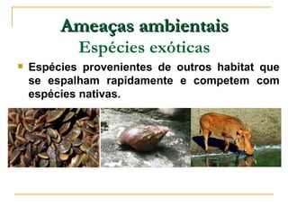 Ameaças ambientais
            Espécies exóticas
   Espécies provenientes de outros habitat que
    se espalham rapidamente e competem com
    espécies nativas.
 