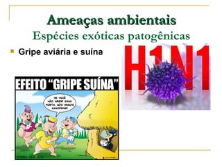 Ameaças ambientais
       Espécies exóticas patogênicas
   Gripe aviária e suína
 
