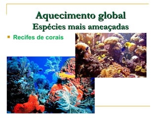 Aquecimento global
          Espécies mais ameaçadas
   Recifes de corais
 