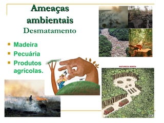 Ameaças
        ambientais
       Desmatamento
   Madeira
   Pecuária
   Produtos
    agrícolas.
 