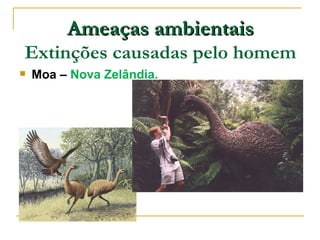 Ameaças ambientais
Extinções causadas pelo homem
   Moa – Nova Zelândia.
 