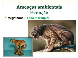 Ameaças ambientais
                 Extinção
   Megafauna – Leão marsupial
 