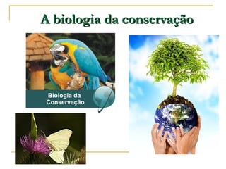 A biologia da conservação
 