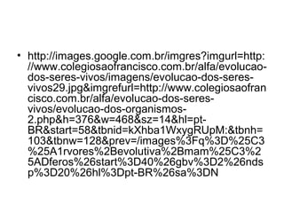 • http://images.google.com.br/imgres?imgurl=http:
//www.colegiosaofrancisco.com.br/alfa/evolucao-
dos-seres-vivos/imagens/evolucao-dos-seres-
vivos29.jpg&imgrefurl=http://www.colegiosaofran
cisco.com.br/alfa/evolucao-dos-seres-
vivos/evolucao-dos-organismos-
2.php&h=376&w=468&sz=14&hl=pt-
BR&start=58&tbnid=kXhba1WxygRUpM:&tbnh=
103&tbnw=128&prev=/images%3Fq%3D%25C3
%25A1rvores%2Bevolutiva%2Bmam%25C3%2
5ADferos%26start%3D40%26gbv%3D2%26nds
p%3D20%26hl%3Dpt-BR%26sa%3DN
 