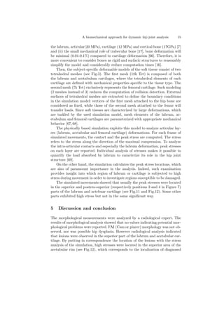 A biomechanical approach for dynamic hip joint analysis 15
the labrum, articular(20 MPa), cartilage (12 MPa) and cortical bone (17GPa) [7]
and (ii) the small mechanical role of trabecular bone [17], bone deformation will
be minimal (0.01-0.1%) compared to cartilage deformation [66]. Therefore, it is
more convenient to consider bones as rigid and surfacic structures to reasonably
simplify the model and considerably reduce computation times [16].
Then, the subject-speciﬁc deformable models of the soft tissue consist of two
tetrahedral meshes (see Fig.3). The ﬁrst mesh (18k Tet) is composed of both
the labrum and acetabulum cartilages, where the tetrahedral elements of each
cartilage are deﬁned with mechanical properties speciﬁc to the tissue type. The
second mesh (7k Tet) exclusively represents the femoral cartilage. Such modeling
(2 meshes instead of 3) reduces the computation of collision detection. External
surfaces of tetrahedral meshes are extracted to deﬁne the boundary conditions
in the simulation model: vertices of the ﬁrst mesh attached to the hip bone are
considered as ﬁxed, while those of the second mesh attached to the femur will
transfer loads. Since soft tissues are characterized by large deformations, which
are tackled by the used simulation model, mesh elements of the labrum, ac-
etabulum and femoral cartilages are parameterized with appropriate mechanical
behavior [67, 68].
The physically based simulation exploits this model to analyze articular lay-
ers (labrum, acetabular and femoral cartilage) deformations. For each frame of
simulated movements, the contact and the peak stress are computed. The stress
refers to the stress along the direction of the maximal compression. To analyze
the intra-articular contacts and especially the labrum deformation, peak stresses
on each layer are reported. Individual analysis of stresses makes it possible to
quantify the load absorbed by labrum to caracterize its role in the hip joint
structure [69].
On the other hand, the simulation calculates the peak stress locations, which
are also of paramount importance in the analysis. Indeed, such examination
provides insight into which region of labrum or cartilage is subjected to high
stress during movement in order to investigate regions susceptible to be damaged.
The simulated movements showed that usually the peak stresses were located
in the superior and postero-superior (respectively positions 3 and 4 in Figure 7)
parts of the labrum and actebuar cartilage (see Fig.11 and Fig.12). Some other
parts exhibited high stress but not in the same signiﬁcant way.
5 Discussion and conclusion
The morphological measurements were analyzed by a radiological expert. The
results of morphological analysis showed that no values indicating potential mor-
phological problems were reported. FAI (Cam or pincer) morphology was not ob-
served, nor was possible hip dysplasia. However radiological analysis indicated
that lesions were observed in the superior part of the labrum and acetabular car-
tilage. By putting in correspondence the location of the lesions with the stress
analysis of the simulation, high stresses were located in the superior area of the
acetabular rim (see Fig.12), which corresponds to the localization of diagnosed
 