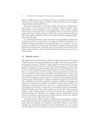 2 A biomechanical approach for dynamic hip joint analysis
impact of MSDs and on the development of new tools which can provide useful
information for medical experts to improve medical procedures (e.g., diagnosis,
surgery planning and rehabilitation).
Among these pathologies, osteoarthritis (OA), also known as a degenerative
joint disease, is the most common form of arthritis (articular disease). OA is
characterized by the breakdown or the degeneration of the articular cartilage
which becomes brittle and splits. Consequently, bones are uncovered and rub
against each other, causing symptoms such as pain, muscle weakness and limita-
tion of movement in the joint. The most common sites of OA include the hands,
spine, hips and knees.
To understand the human joints mechanism and thoroughly investigate the
development of OA, several studies were conducted. Diﬀerent disciplines (e.g.,
medicine, biology, biomechanics and applied sciences) are involved in the ex-
change and combination of knowledge from diﬀerent expertise domains. Despite
the growing advancements, limitations still exist and much work remains to be
done to better respond to the complexity of both the human anatomy and med-
ical procedures.
1.1 Medical context
This study focuses on the hip joint, which is crucially important in the muscu-
loskeletal system. The hip joint supports the weight of the body in both static
and dynamic postures. It allows for a large range of movement and for the trans-
fer of high forces between the femur and the pelvis during daily activities [3]. The
hip joint is classiﬁed as a ball and socket joint, with the acetabulum acting as the
socket in which the spherical femur head articulates (see Fig.1). Both bone sur-
faces are covered with an articular cartilage which prevents direct bone-to-bone
contact and allows a uniform pressure distribution inside the joint. Connected to
the acetabulum rim, the acetabular labrum is a ﬁbrocartilaginous structure that
increases the acetabulum depth, grips the femoral head and provides stability
to the hip joint. The hip joint is moreover reinforced by ligaments [4]. Given its
role in the MS, the hip joint is especially vulnerable to diﬀerent pathologies and
mostly OA. Although the frequency of hip OA increases with age, OA is not
exclusively an aging process as it is also seen in younger patients [5]. In fact,
the damage of the labrum or labral tear was associated with the development
of hip OA. Studies have shown that a labral tear is frequently found in younger
patients, while for older patient the labral tear is more often associated with
chondral damage [10]. Therefore, they suppose that the degeneration process
starts by a labral tear and may lead to articular damages. In any case, diﬀerent
factors can be at the origin of hip joint damage.
Although, genetics, obesity, injury and infections were identiﬁed as marginal
factors, the abnormal joint morphologies including femoroacetabular impinge-
ment (FAI) and dysplasia are considered as the most common reasons of the
cartilage and the labrum degeneration [6–8]. Nevertheless, the exact mecha-
nisms of degeneration are still unknown because the development process of this
 