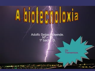 Adolfo Seijas Rosende. Nº – 15 1º bach . D. A biotecnoloxia  Os Tranxenicos. 