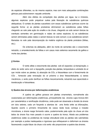 de espécies diferentes, ou de mesma espécie, mas com mais adequadas combinações
gênicas para sobreviverem naquele ambiente.
Além dos efeitos da competição das plantas por água, luz e minerais,
algumas espécies pode prejudicar outras pela liberação de substâncias químicas
alelopaticas. O contato de plantas suscetíveis com essas substâncias químicas ocorre da
seguinte forma: a) as plantas produtoras eliminariam as substâncias pelas folhas
chegando ao solo pela ação do orvalho e da chuva, chegando ao solo seriam tóxicas às
eventuais sementes em germinação e raízes de outras espécies; b) as substâncias
seriam eliminadas pelas raízes e seriam tóxicas no solo comum; c) as substâncias seriam
liberadas no solo pela decomposição da matéria orgânica da planta produtora (folhas,
etc.).
Os sintomas da alelopatia, além da morte de sementes são o crescimento
reduzido, o amarelecimento de folhas e em casos mais extremos secamento de galhos e
morte das plantas.
j) Ventos
O vento afeta o crescimento das plantas sob e3 aspectos: a) transpiração, o
efeito do vento varia com a topografia, posição das plantas, temperatura e umidade do ar
que incide sobre as plantas; b) absorção de CO2, a fotossíntese com o fornecimento de
CO2 , fornecido pela renovação do ar próximo a área fotossintetizante; c) danos
mecânicos, o vento pode danificar as folhas mecanicamente, reduzindo sua capacidade e
translocação e fotossíntese.
k) Quebra das árvores por deformações anatômicas
A quebra de galhos grossos em plantas ornamentais, normalmente são
ocasionadas por deformações anatômicas, principalmente nas árvores cujos troncos têm
por característica a ramificação dicotômica, onde pode ser observada a divisão da árvore
em dois setores, cada um forçando a abertura de uma fenda entre as bifurcações.
Quando ocorre o primeiro trincamento de casca neste local, começa a invasão
microbiana, a árvore reage formando calos, posteriormente pela ação da chuva um dos
lados da árvore fica mais pesado é ocorre a quebra do tronco. Aliada aos problemas
anatômicos estão os problemas de manejo silvicultural onde as plantas são submetidas
por exemplo a podas inadequadas e rigorosas que enfraquecem e deformam as árvores
favorecendo a ação futura da chuva e do vento vão proporcionar a quebra das árvores.
 