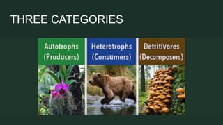 THREE CATEGORIES
 