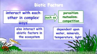 interact with each
other in complex
ways
Biotic Factors
also interact with
abiotic factors in
the ecosystem
parasitism
mutualism
competition
dependent upon
water, minerals,
temperature, light
such as
© 2004 Plano ISD, Plano, TX
 