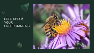 LET’S CHECK
YOUR
UNDERSTANDING
 