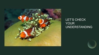 LET’S CHECK
YOUR
UNDERSTANDING
 