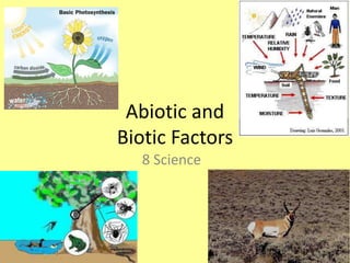 Abiotic and Biotic Factors 8 Science 