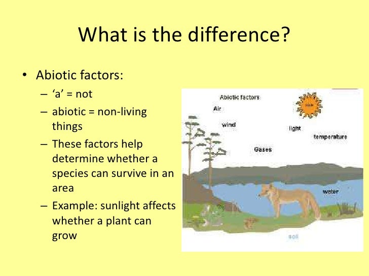 What is the difference?br /Abiotic factors:br /'a' = not br /abio...