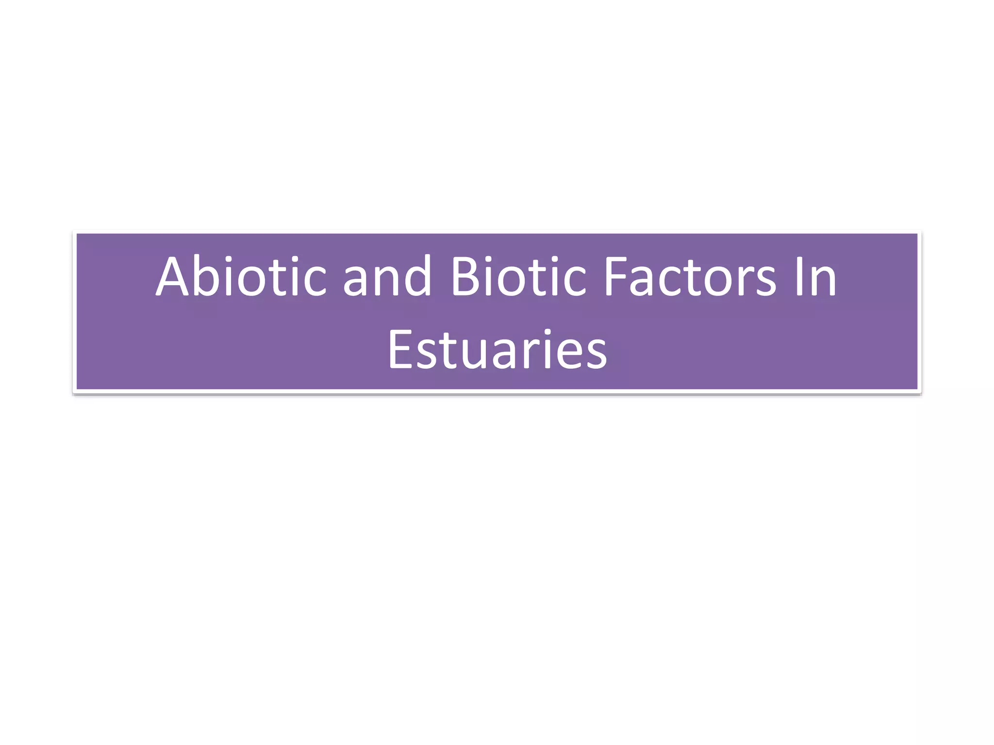 Abiotic and Biotic Factors in Estuaries | PPTX