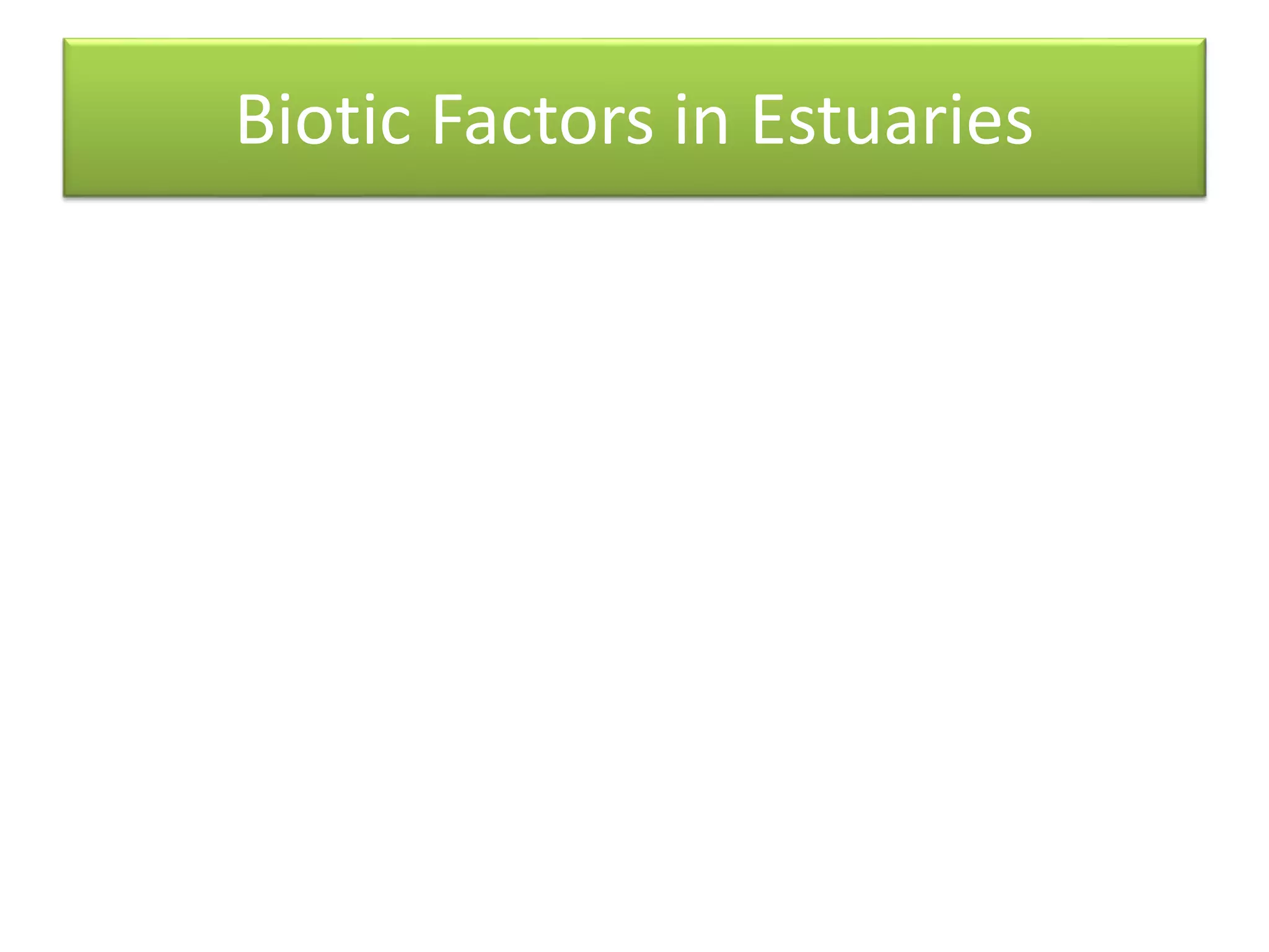 Abiotic and Biotic Factors in Estuaries | PPTX