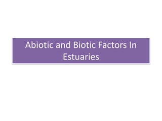 Abiotic and Biotic Factors In 
Estuaries 
 