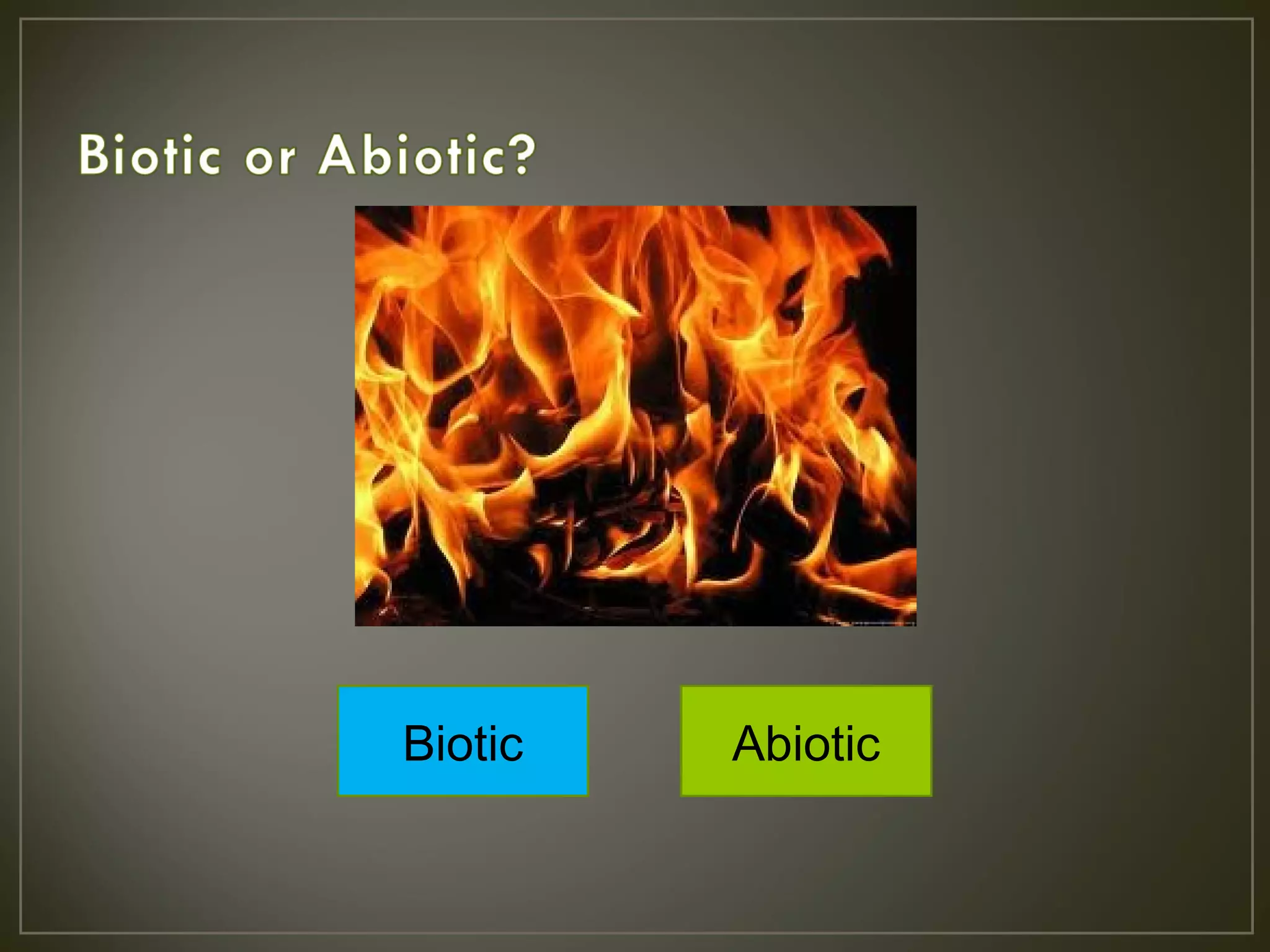 Soup Recipes Abiotic Factor - rnm1x55